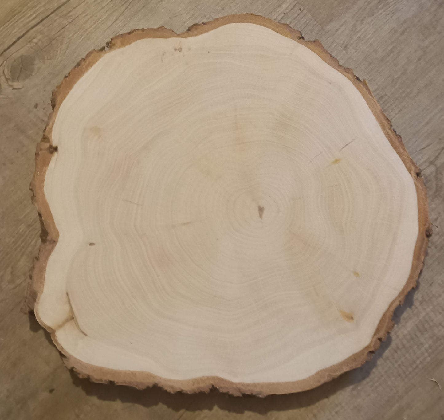 Baumscheibe Sonderform P
