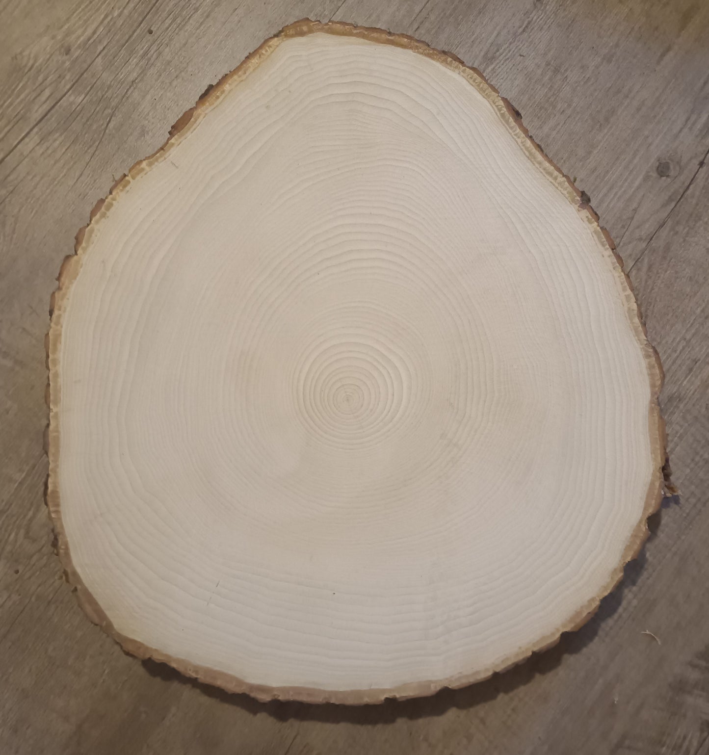 Baumscheibe Sonderform Q