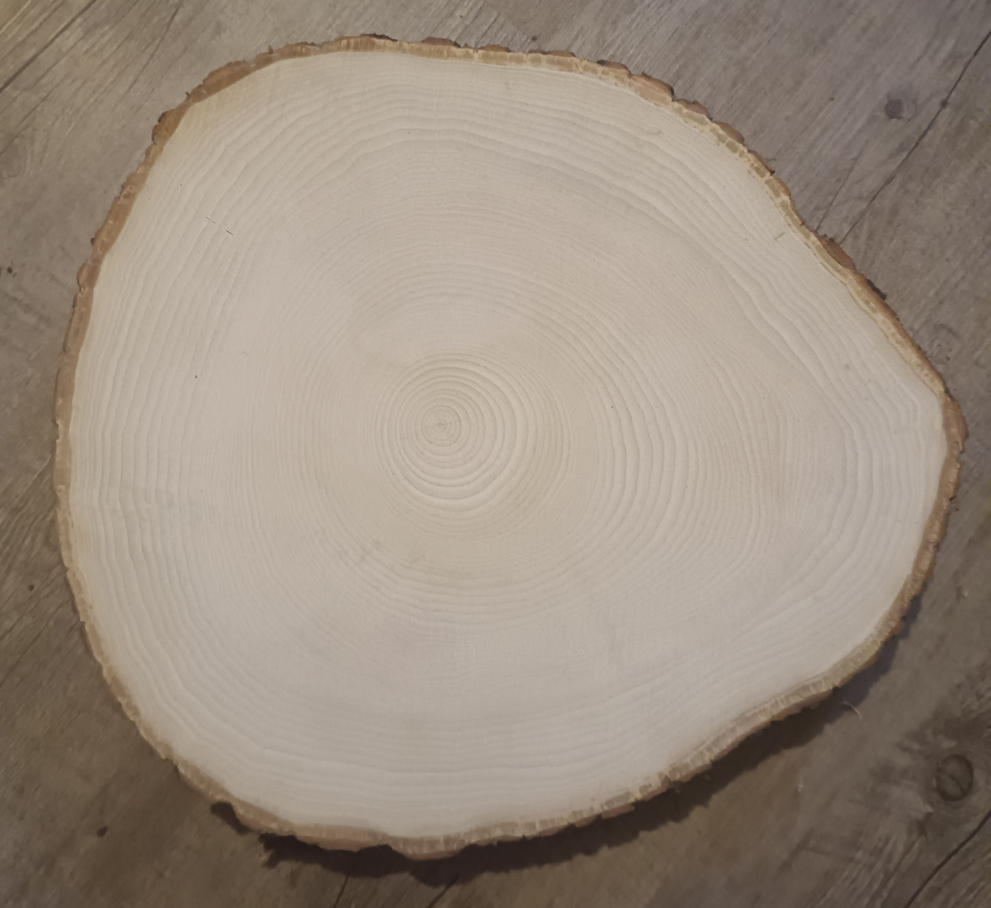 Baumscheibe Sonderform Q