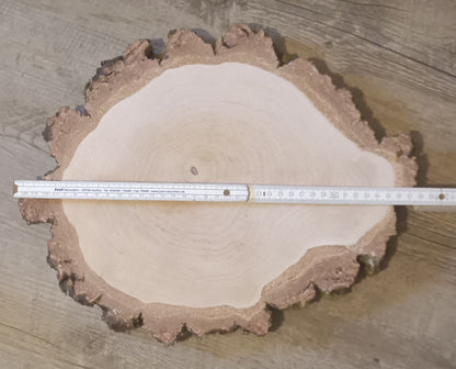 Baumscheibe Sonderform B