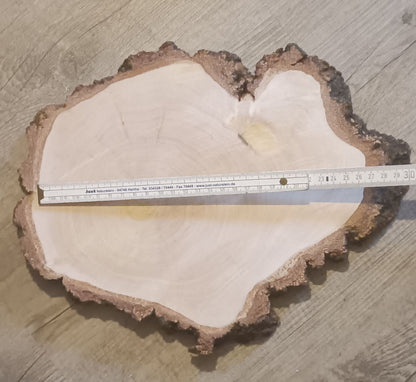 Baumscheibe Sonderform C