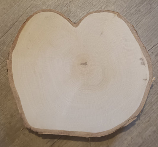 Baumscheibe Sonderform G