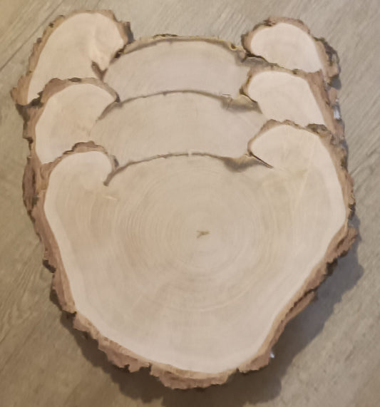 Baumscheibe Sonderform A
