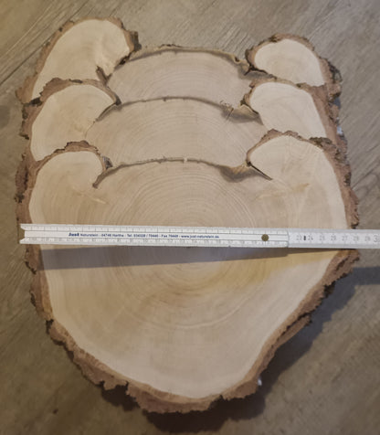 Baumscheibe Sonderform A