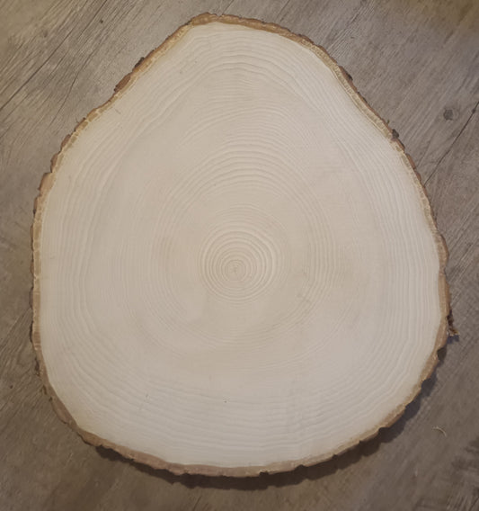 Baumscheibe Sonderform Q